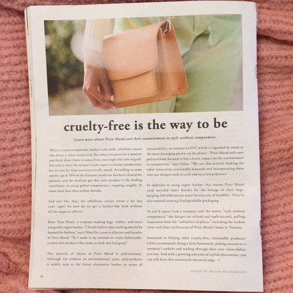 ✨NWT✨Pixie Mood 👜 Purse - GREAT GIFT! - Picture 13 of 15